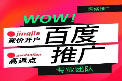 百度SEO推广策略深度解读：某企业网络营销的胜利之路